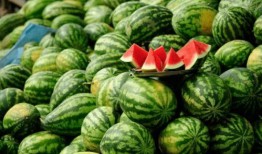 静安网红吃瓜事件,揭秘网络舆论背后的真相与争议