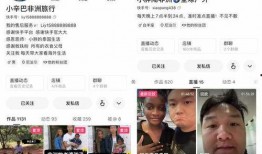 胖子爆料主播视频下载,主播视频下载全攻略